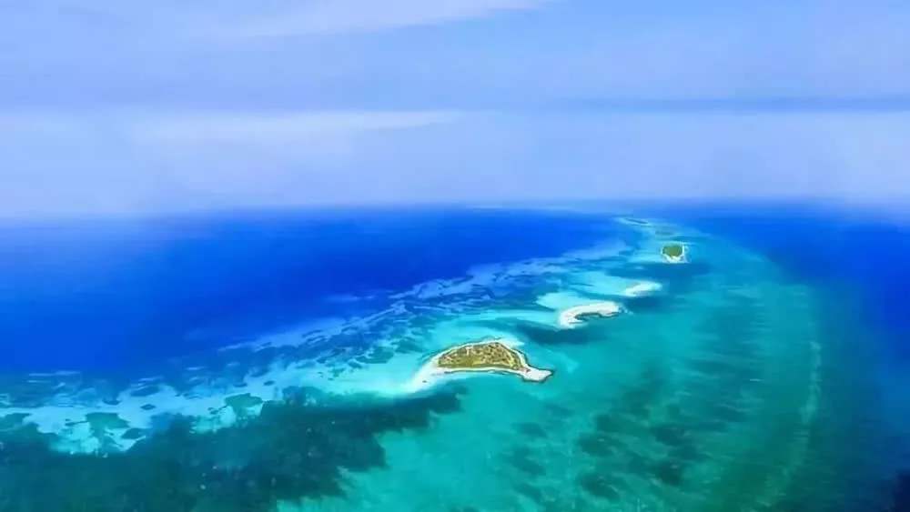 “海南自由港”震撼登場(chǎng)！40個(gè)亮點(diǎn)東方和利帶你一文看懂