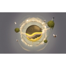 這個小學(xué)，有點開掛了！