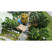 教育革新，信任成長！“安吉游戲”魅力何在？